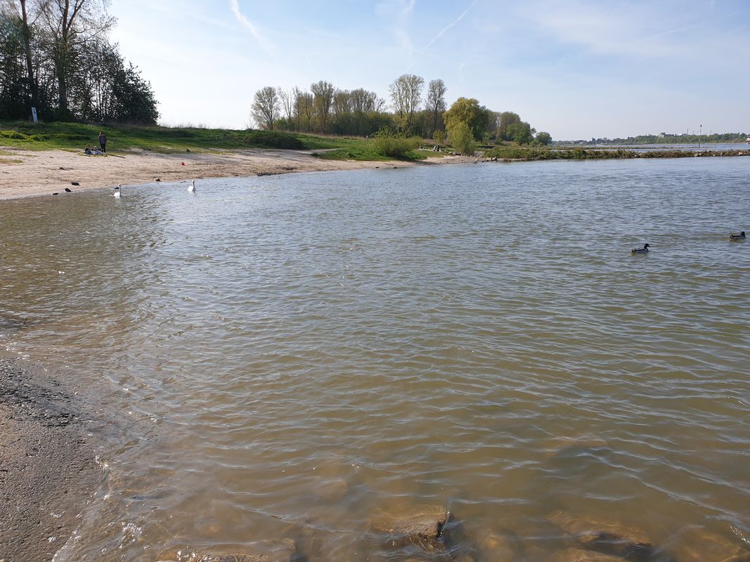 Runde Fühlinger See Worringen