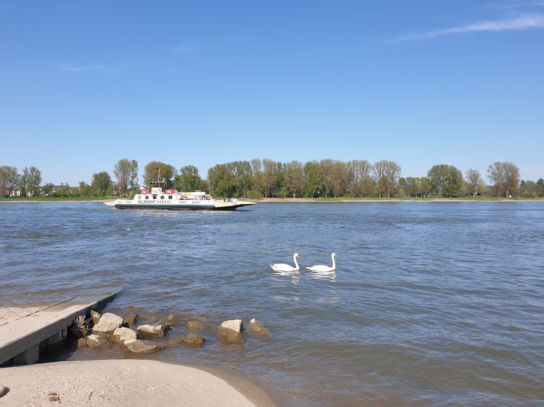 Runde Fühlinger See Worringen