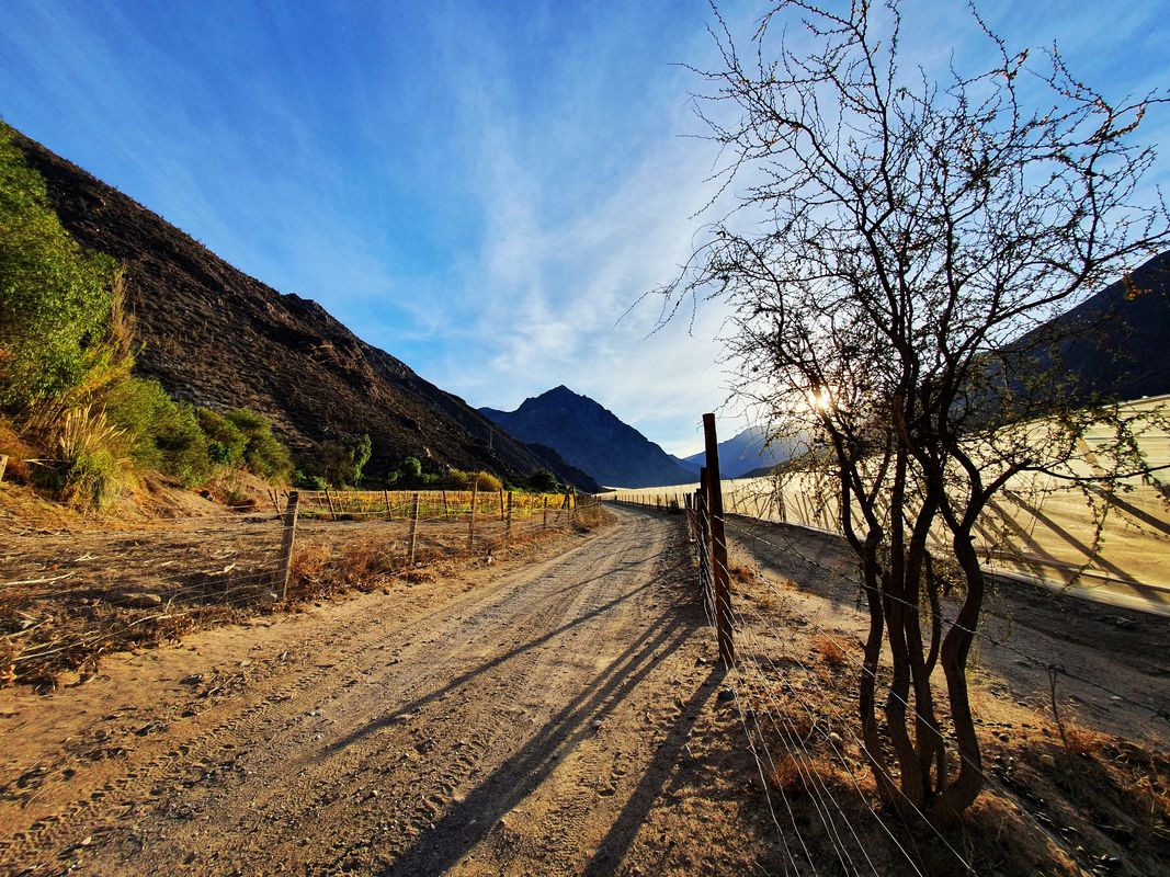 De D-377, Vicuña a Avenida Estacion 32, Vicuña