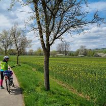 Foto 7 der Bikemap-Route "Lichtenfels nach Bamberg"