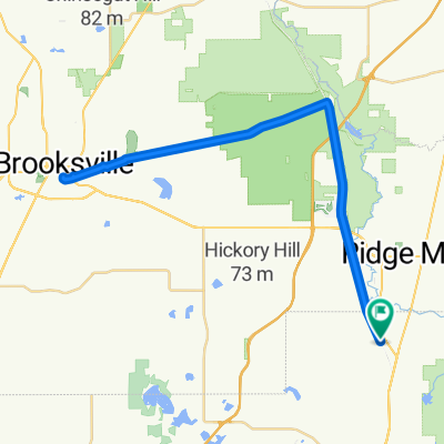 20621 Old Trilby Rd, Dade City to 20621 Old Trilby Rd, Dade City