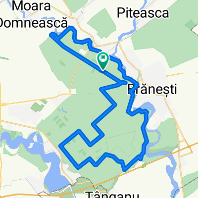 Cernica MTB 32 km Pd. Pustnicu - Cozieni - L. Pasarea - Pd. Cernica - Pd. Pustnicu