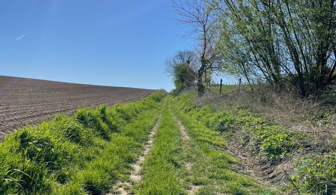 Foto 2 der Bikemap-Route "Chaussée de Boitsfort 140, Watermael-Boitsfort to Heide 18, Sint-Truiden"