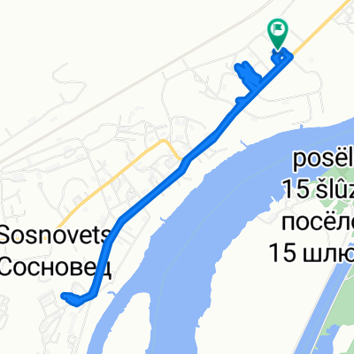 От Лесная улица, Сосновец до Лесная улица, Сосновец