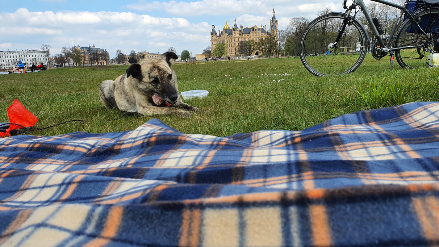 Eckdrift 19, Schwerin nach Burgseestraße, Schwerin