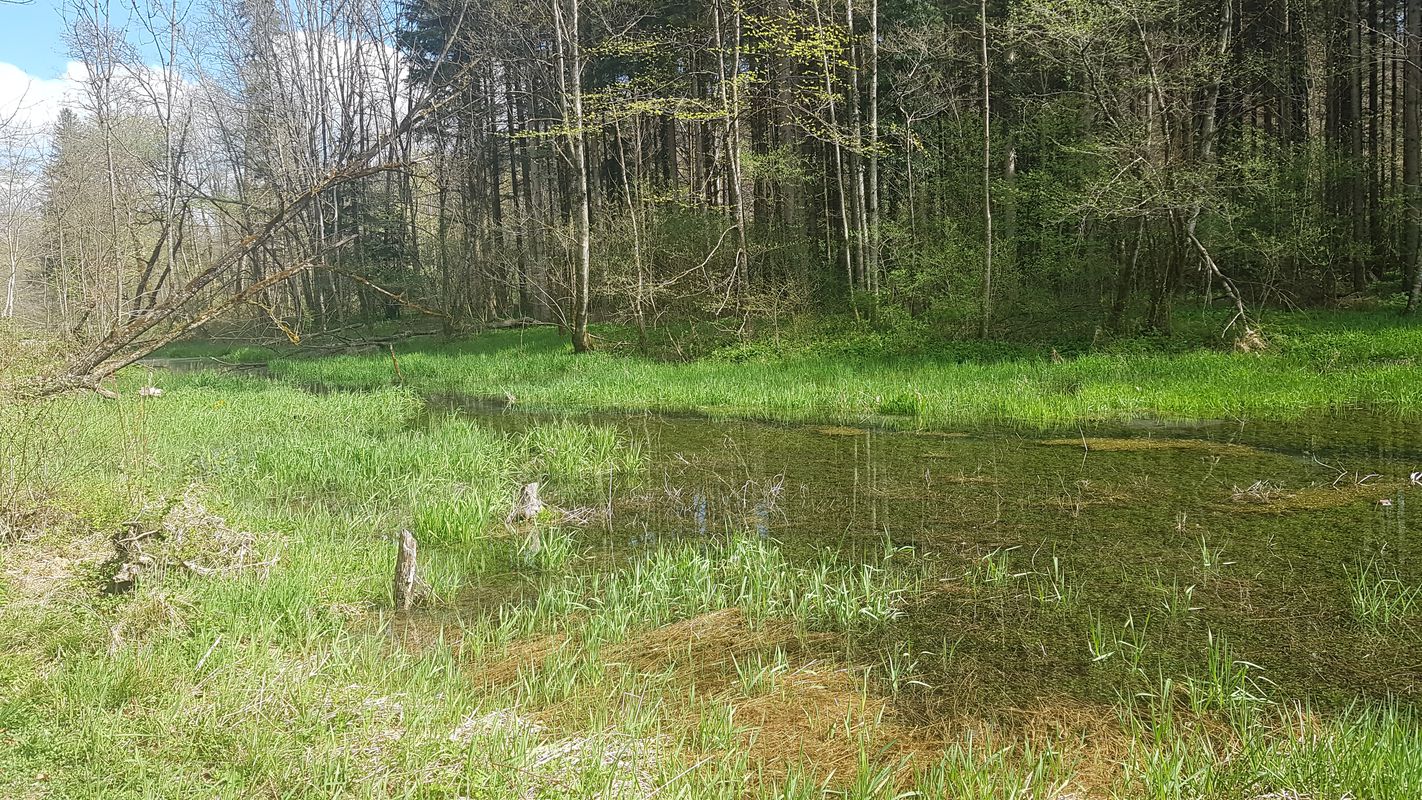 Route nach Kreuzbergstraße 2, Nußdorf
