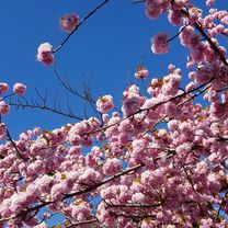 An der Rosenau 2, Bad Sassendorf nach Landwehr 25, Bad Sassendorf