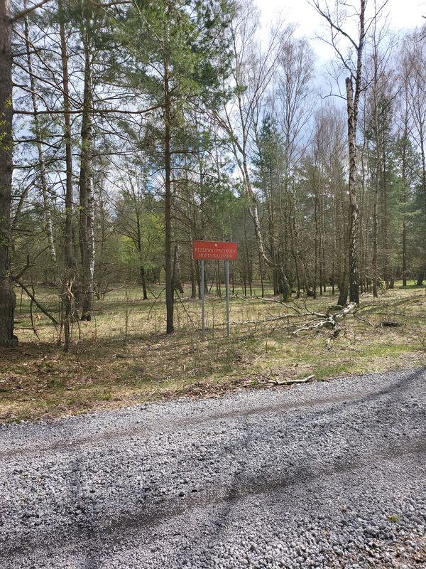 Rembertow Poligon - Michalow