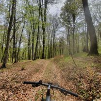 Criț, Mesendorf, Viscri, Bunesti, Crit