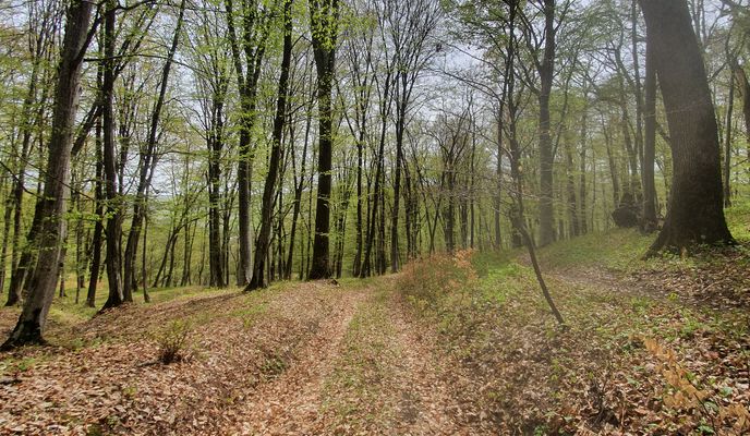Photo 1 of the Bikemap route "Criț, Mesendorf, Viscri, Bunesti, Crit"