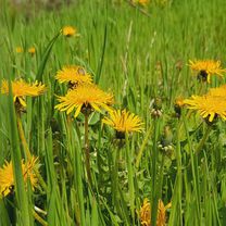 25.04.2022, cu Ilinca, Mara si Alex, Sitaru