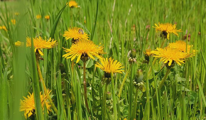 Foto 1 der Bikemap-Route "25.04.2022, cu Ilinca, Mara si Alex, Sitaru"