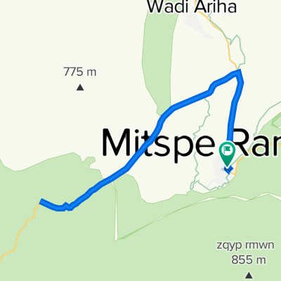Mitzpe Ramon