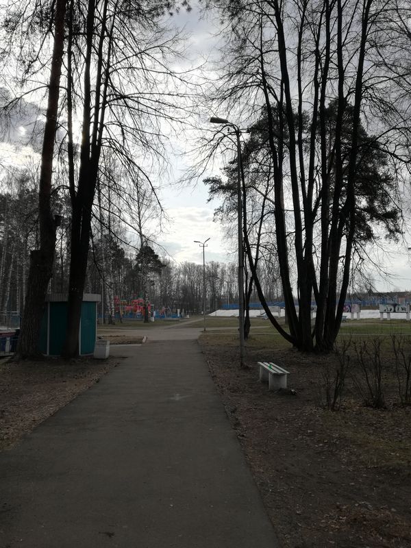 на стадион в центральный парк.