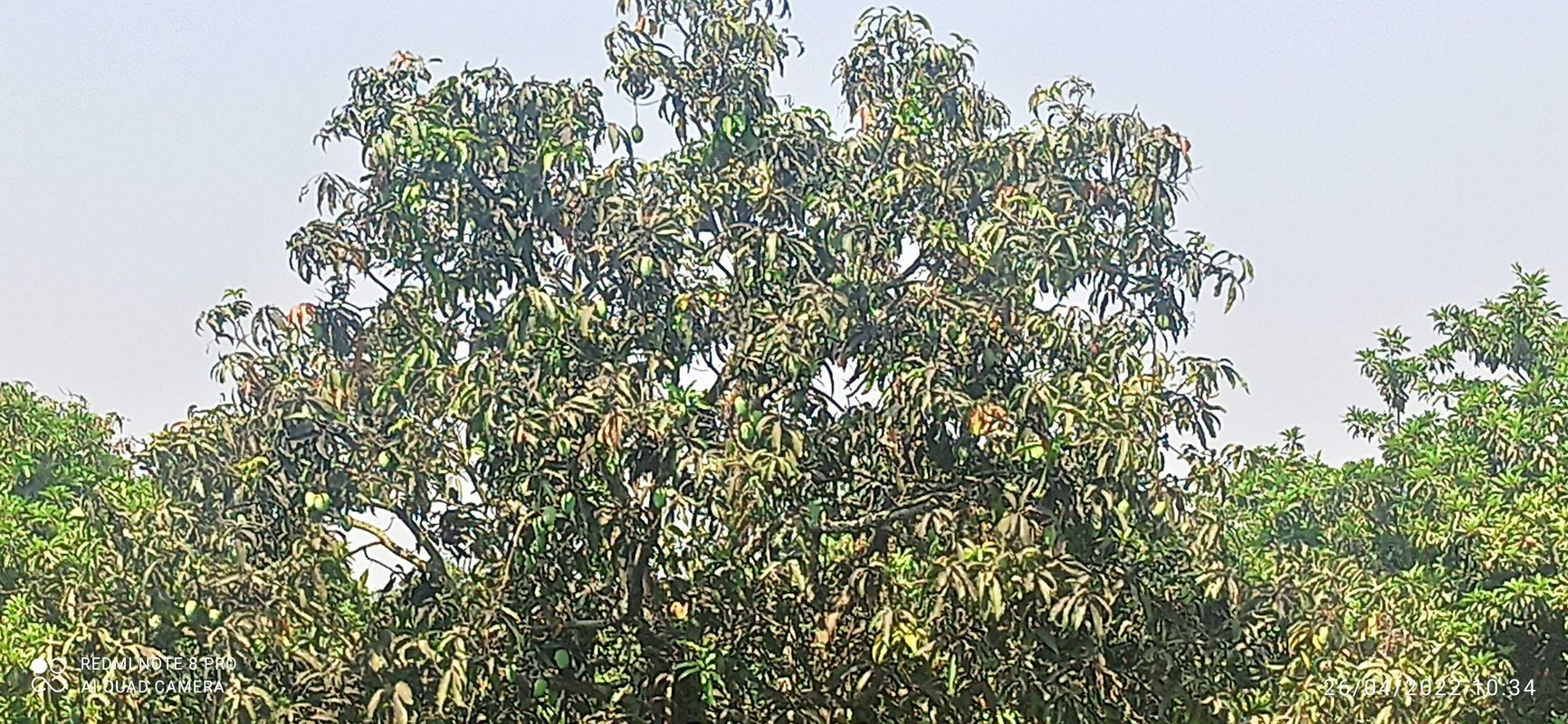 Save Wildlife2022 Personal Route 75Kms+