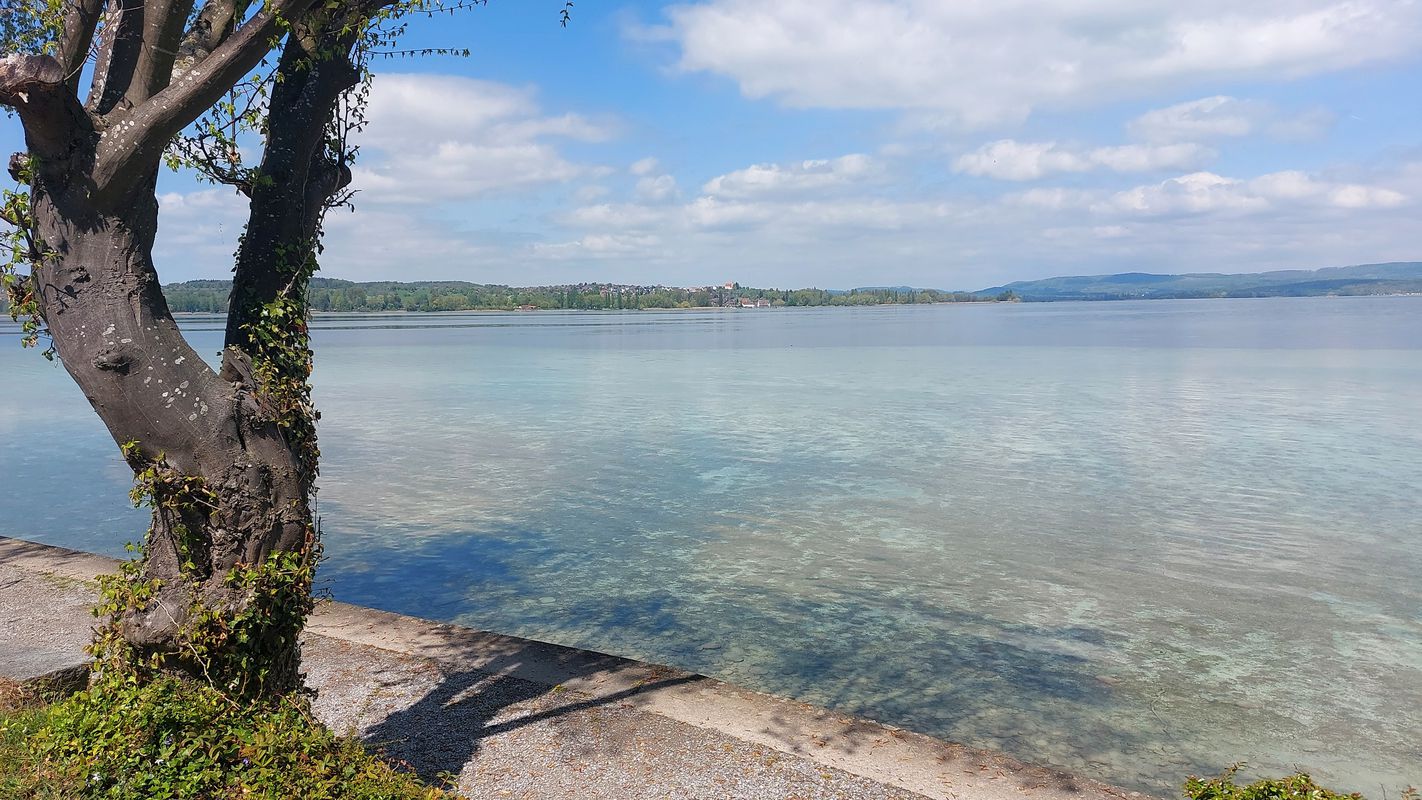 Neugutstrasse 2, Weinfelden nach Amriswilerstrasse 54, Weinfelden