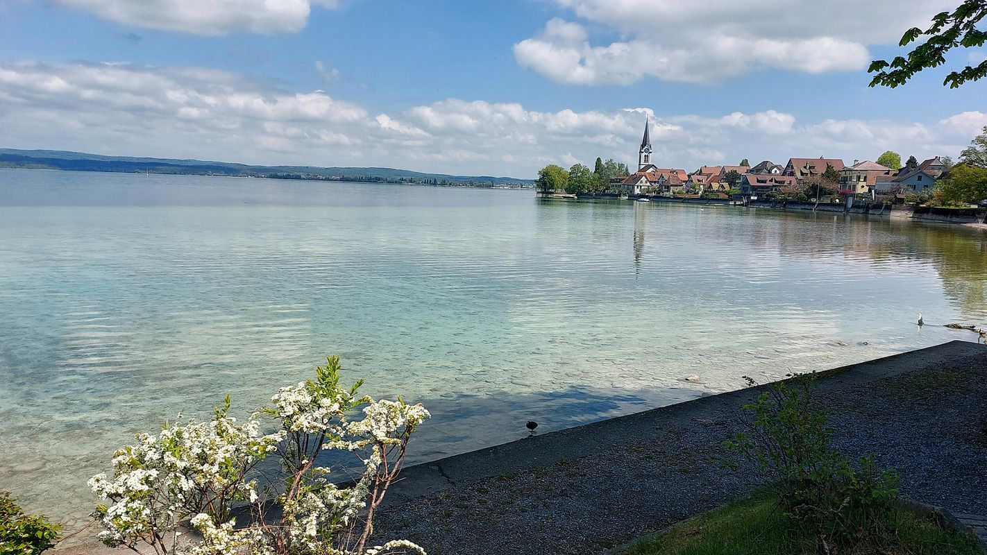 Neugutstrasse 2, Weinfelden nach Amriswilerstrasse 54, Weinfelden