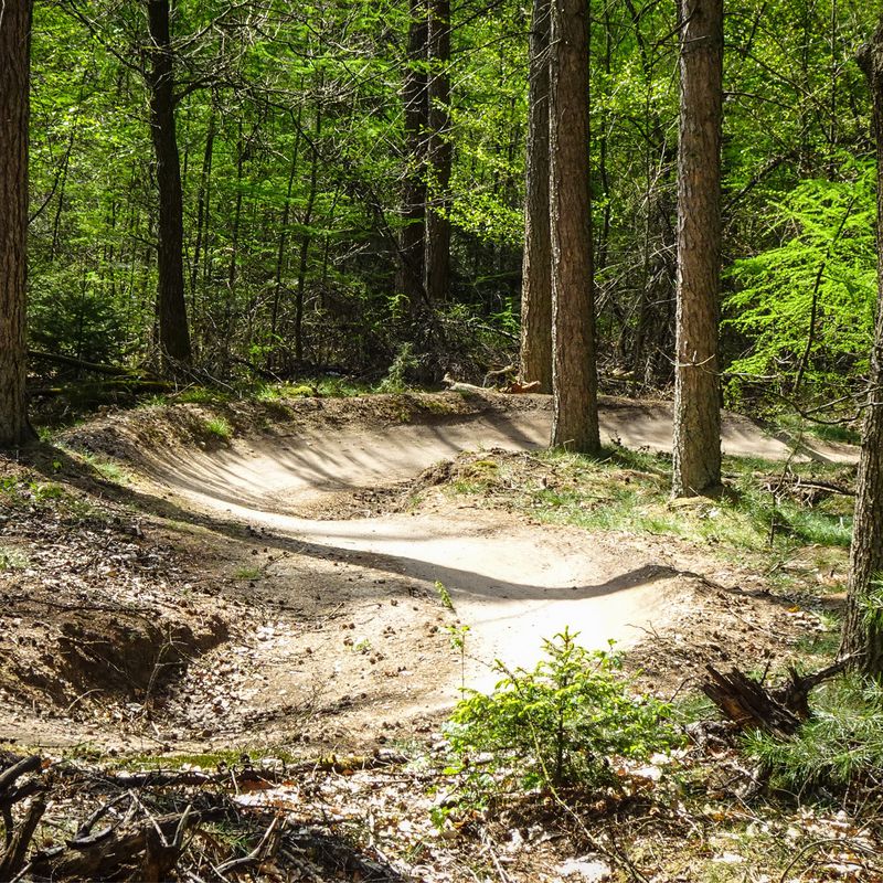 Mtb Glenn - Ede