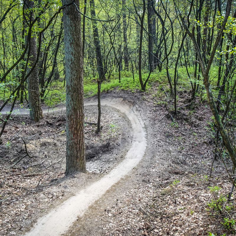 Mtb Glenn - Ede