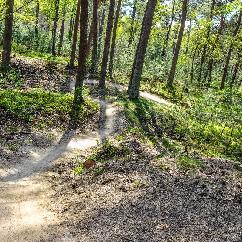 Mtb Glenn - Ede