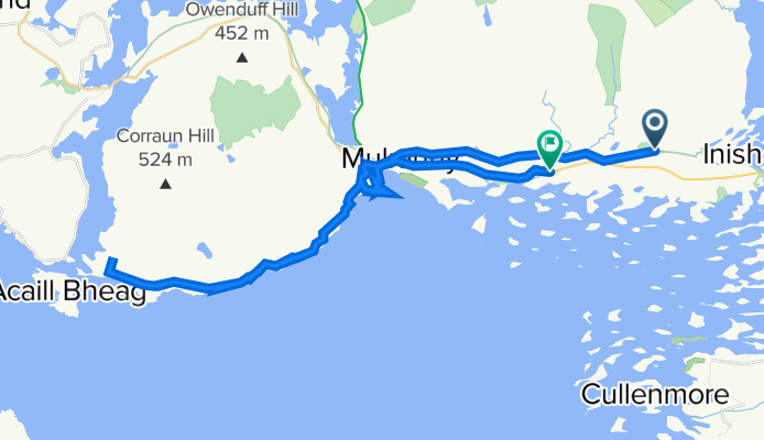 Great Western Greenway, Newport to N59, Westport