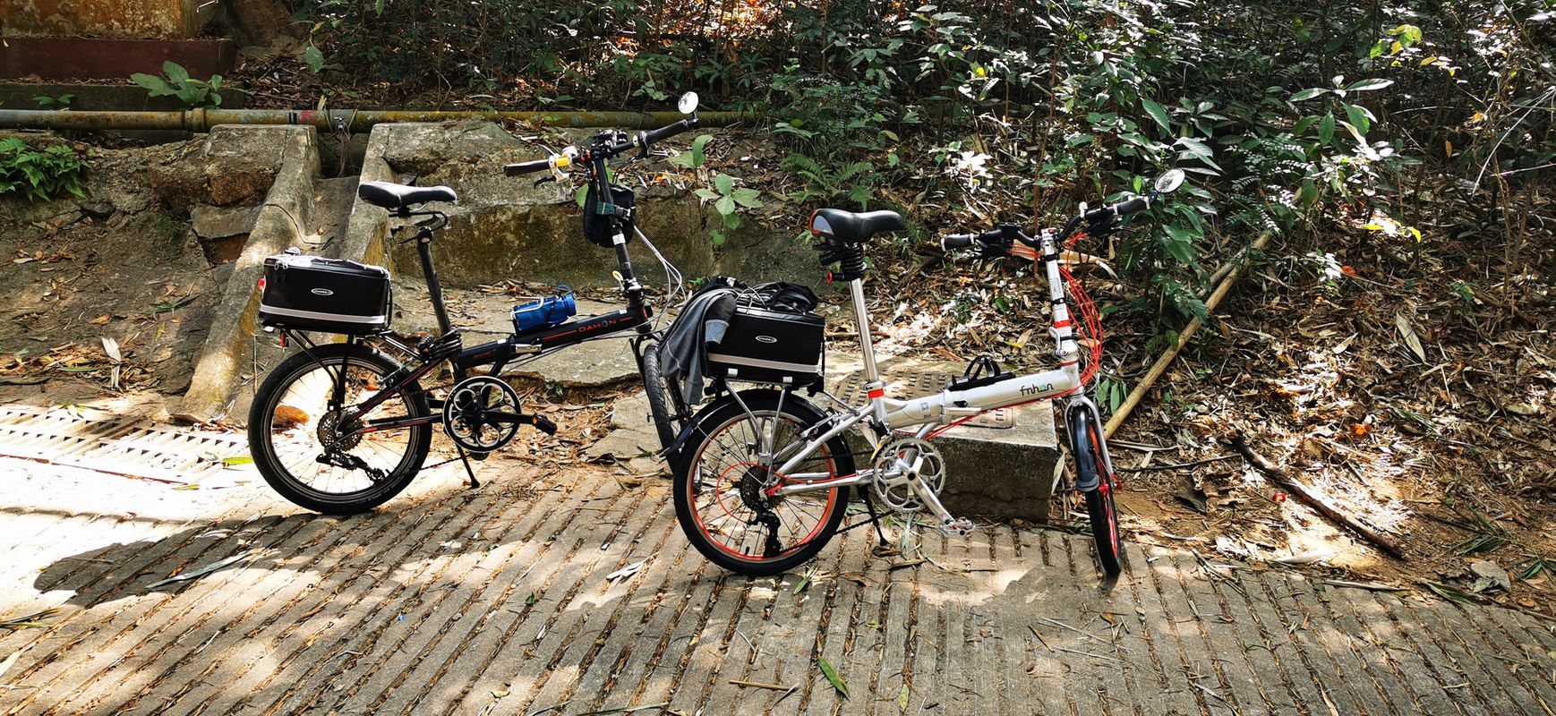 2022-02-11 環遊大嶼山