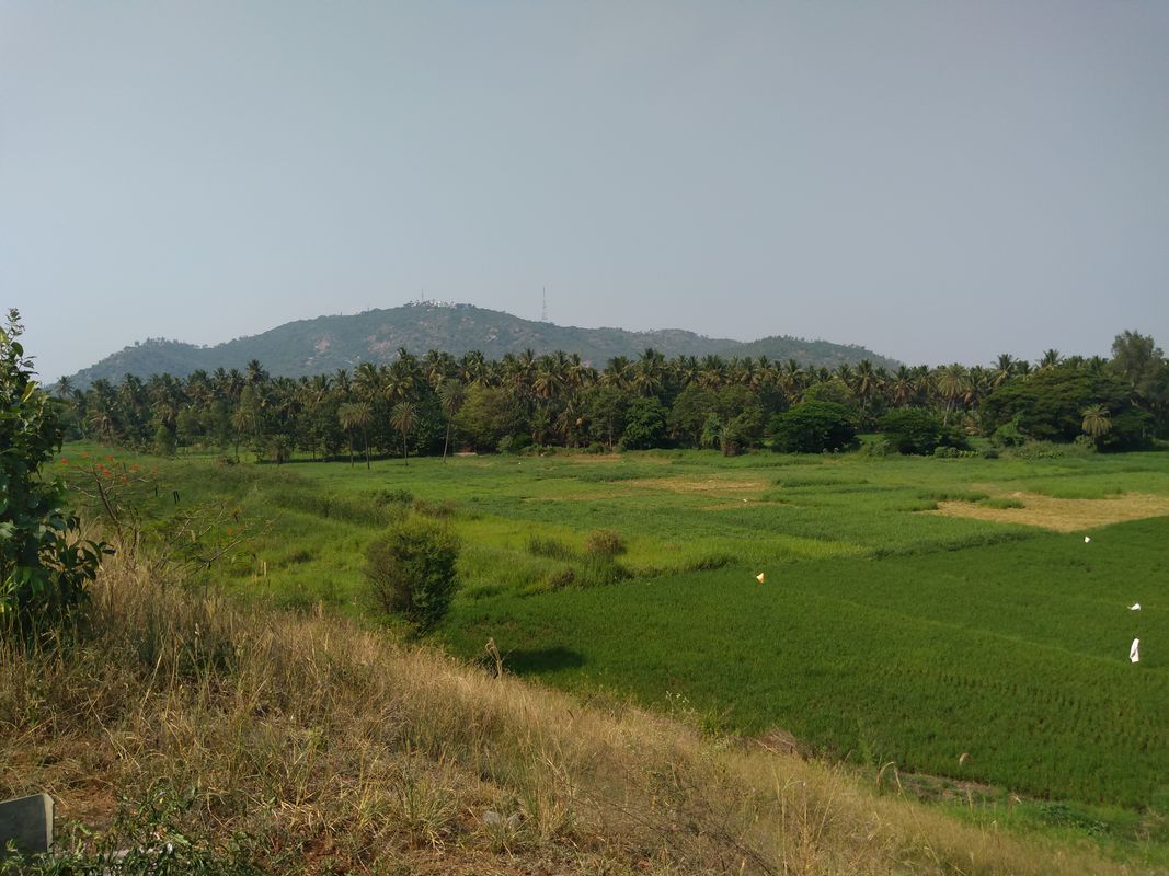 Balakrishna Rao Road , Mysuru to Mandakalli or Seethakkana grama