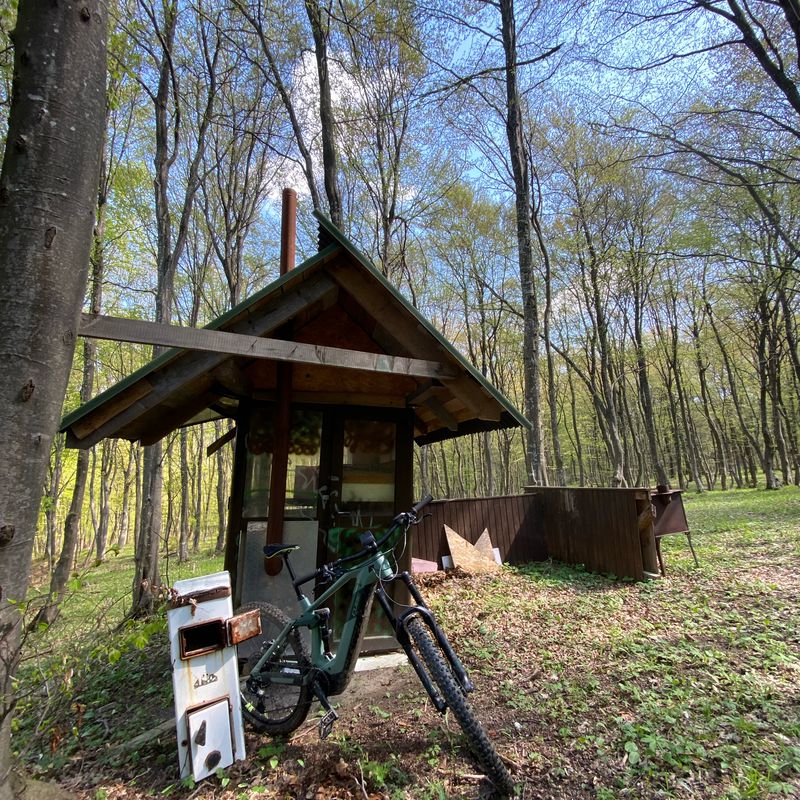 Borhanci -Partie-Centura- livada- borhanci