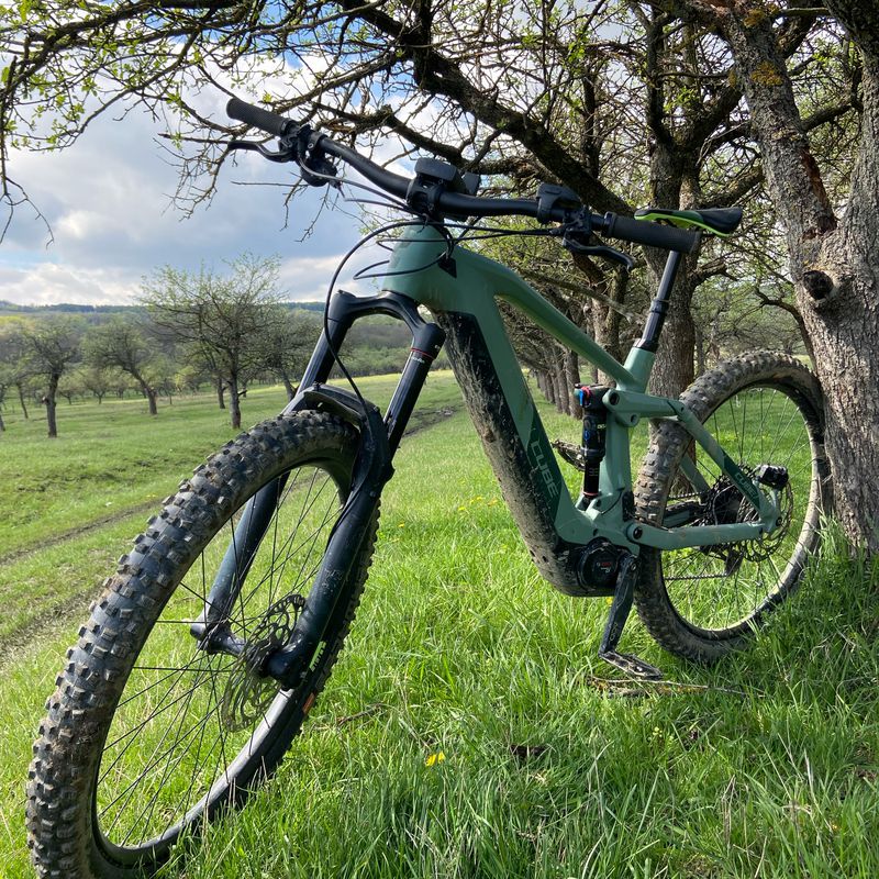 Borhanci -Partie-Centura- livada- borhanci