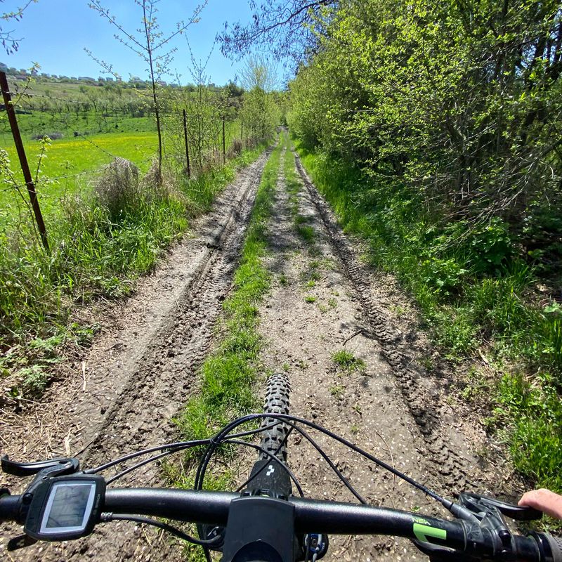 Borhanci -Partie-Centura- livada- borhanci