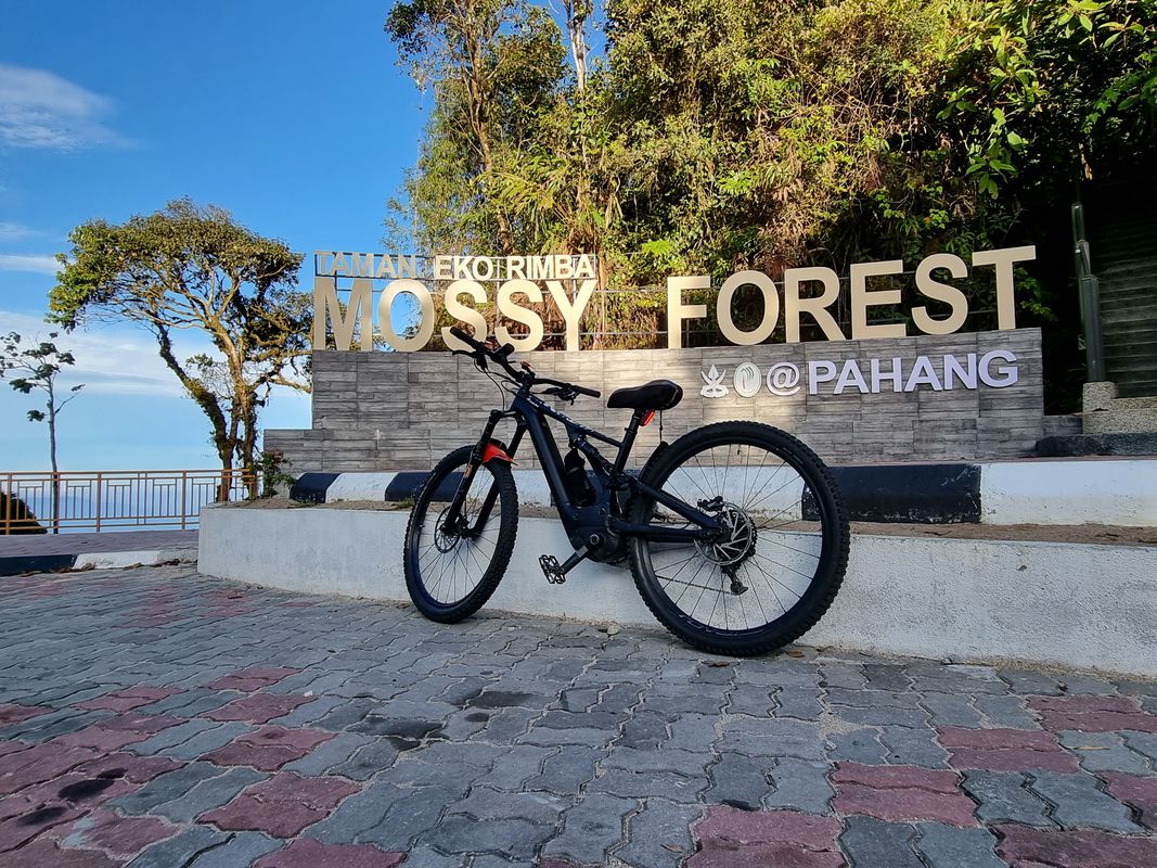 brichang - fossy  forests