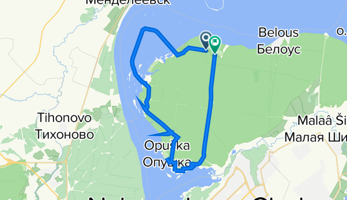 боровицкий лес