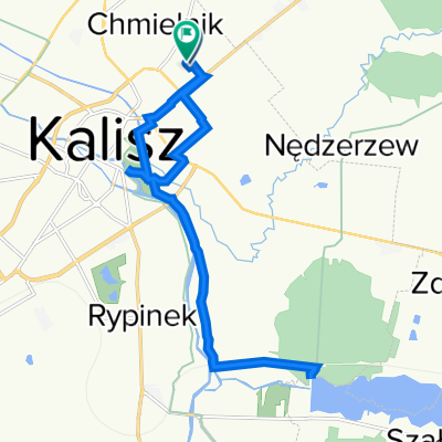 Platanowa-Szałe-Platanowz