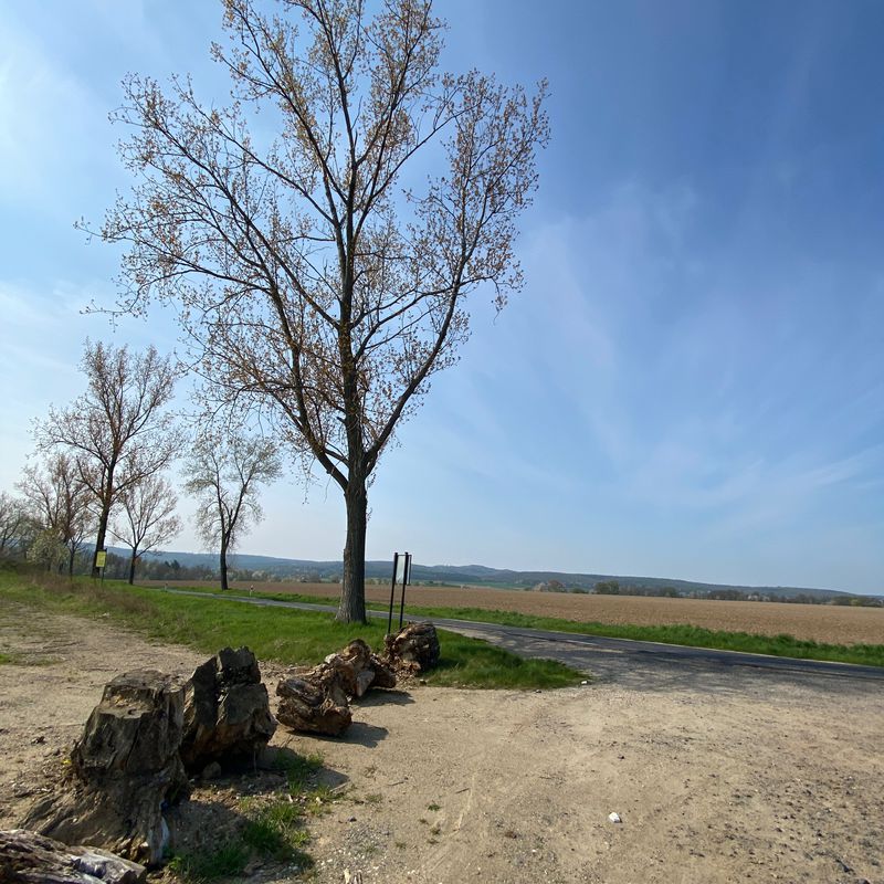 Goczałków do Turów