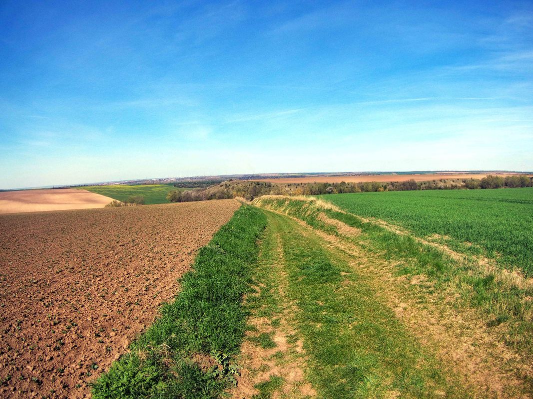 Ruine Arnstein - Ölgrund Walbeck