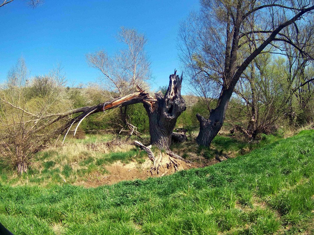 Ruine Arnstein - Ölgrund Walbeck
