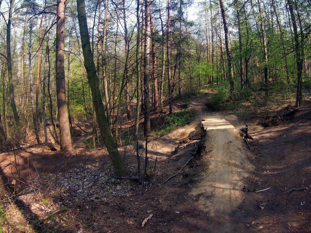 Ruine Arnstein - Ölgrund Walbeck