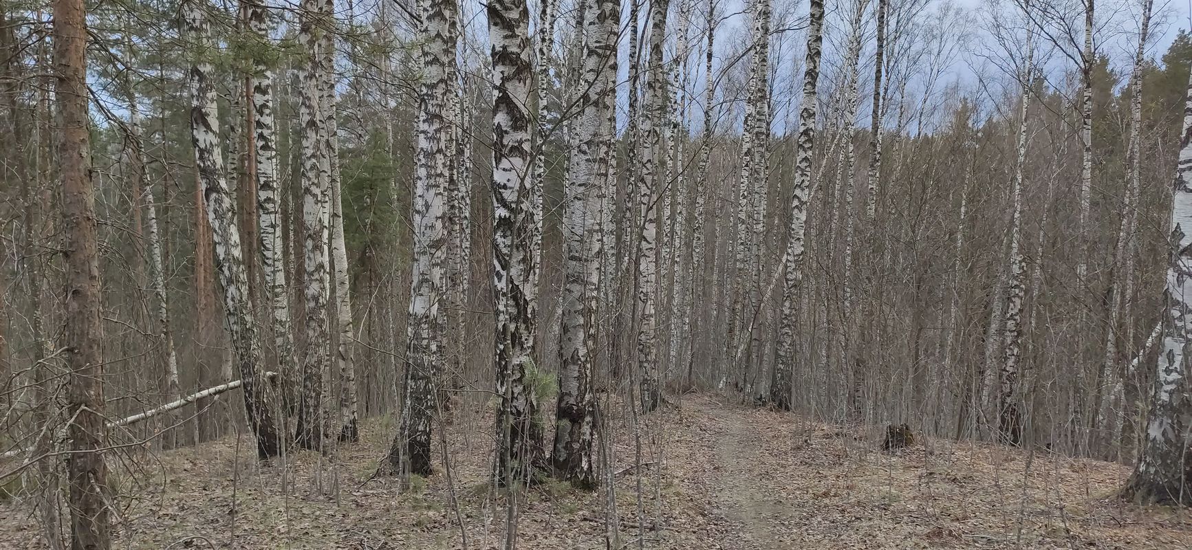 холмики