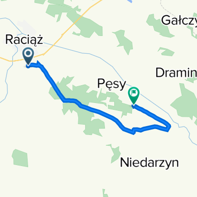 Witkowo, Raciąż do Drozdowo 2–20, Raciąż