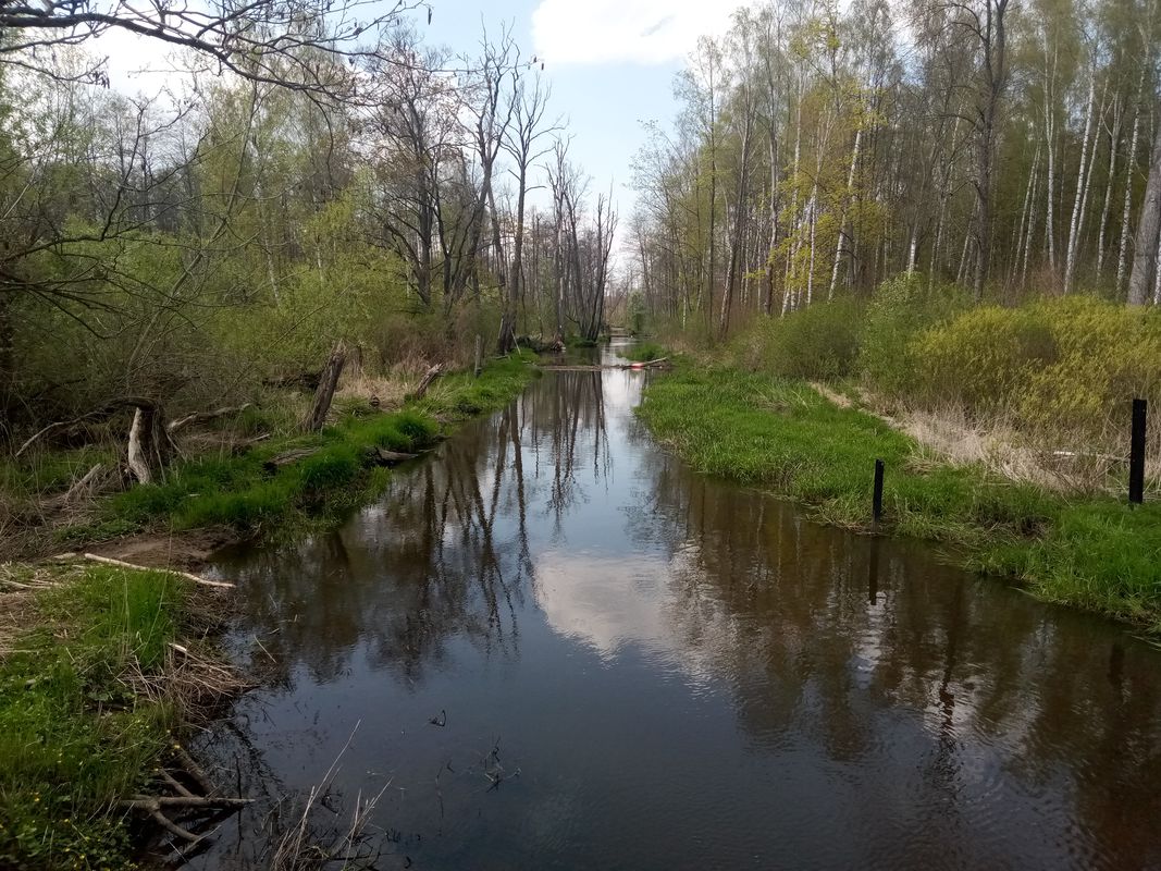 Wymysłów do 48A, Wymysłów