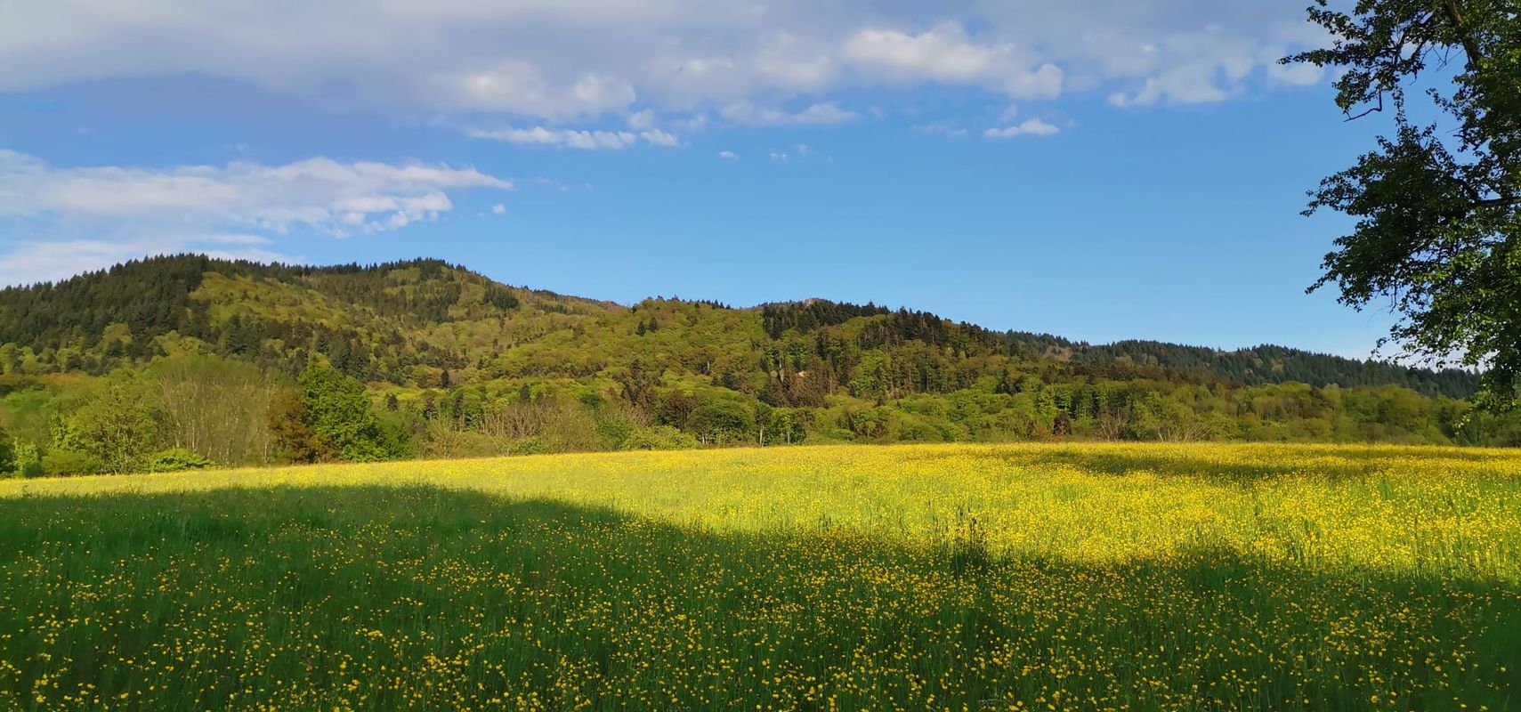 RB - Lipburg to HoheBlauen 1165m