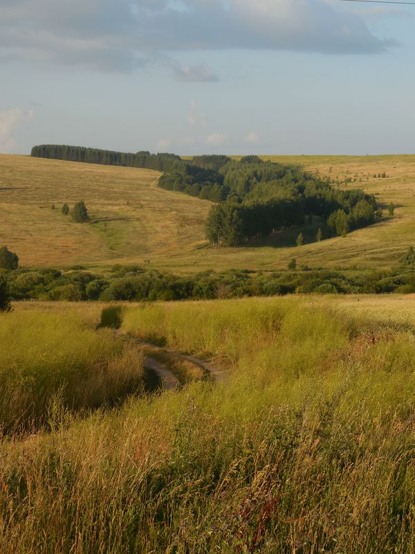 014 Кольцо Альдермыша