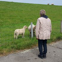 Molkereistraße 7, Jemgum nach Fährpatt 2, Jemgum