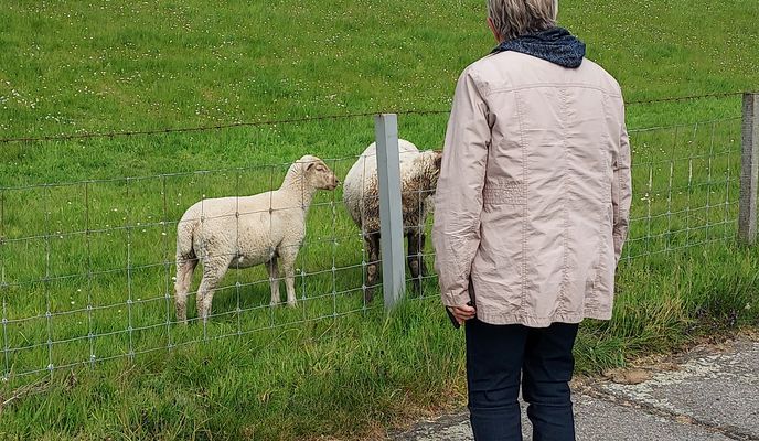 Photo 1 of the Bikemap route "Molkereistraße 7, Jemgum nach Fährpatt 2, Jemgum"