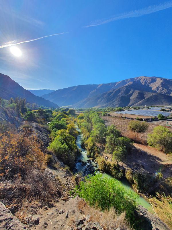 De D-391, Vicuña a Avenida Estacion 32, Vicuña