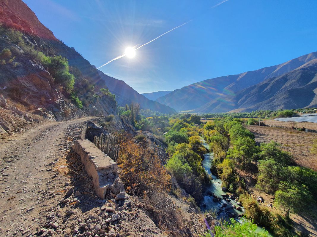 De D-391, Vicuña a Avenida Estacion 32, Vicuña