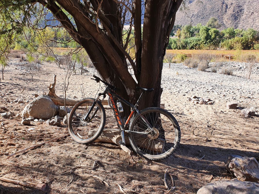 De D-391, Vicuña a Avenida Estacion 32, Vicuña