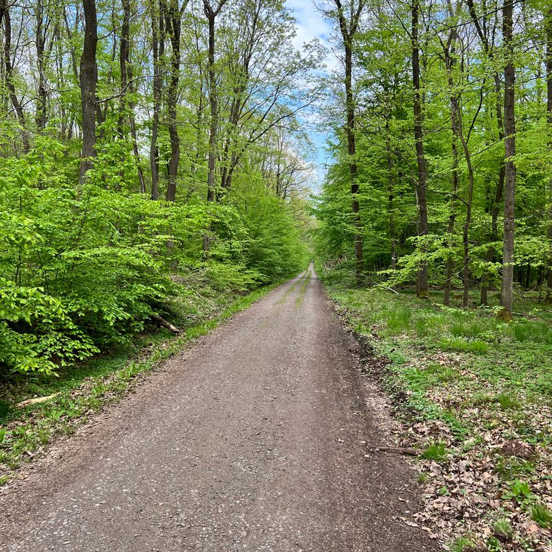Rund um Darmstadt - Am Kleewoog – Grube Prinz von Hessen Runde von Griesheim