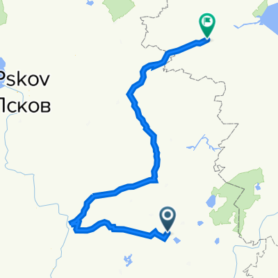 От Смольная улица 226, Бежаницы до Новгородская улица 61б, Сольцы