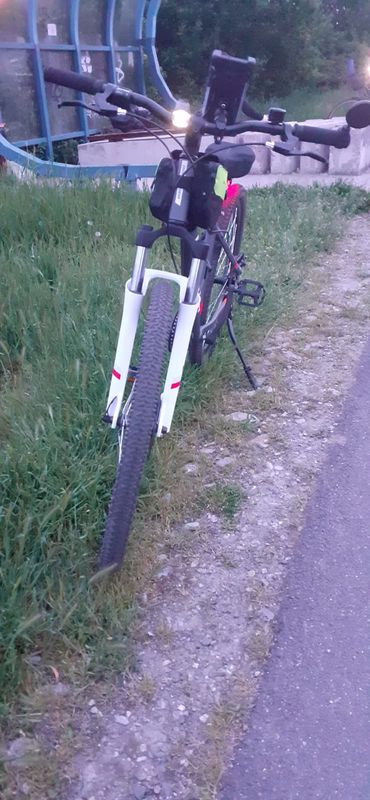 Strada Constantin Silvestri 11, Timișoara to Intrarea Plantelor 5, Timișoara